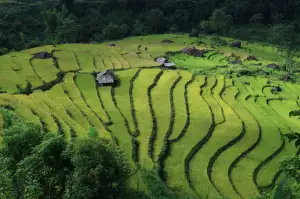 Poznávací Zájezd Vietnam